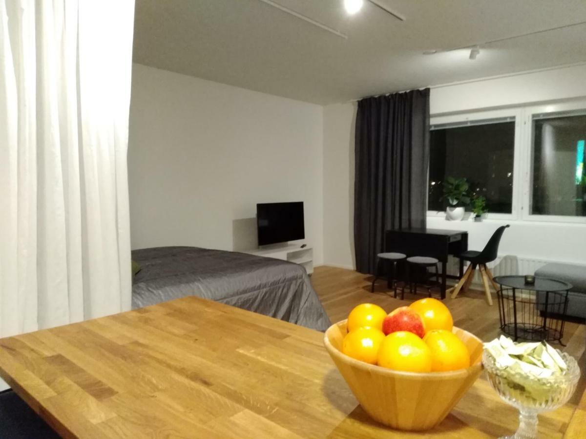 Studiohuoneisto Lohjan Keskusta 외부 사진