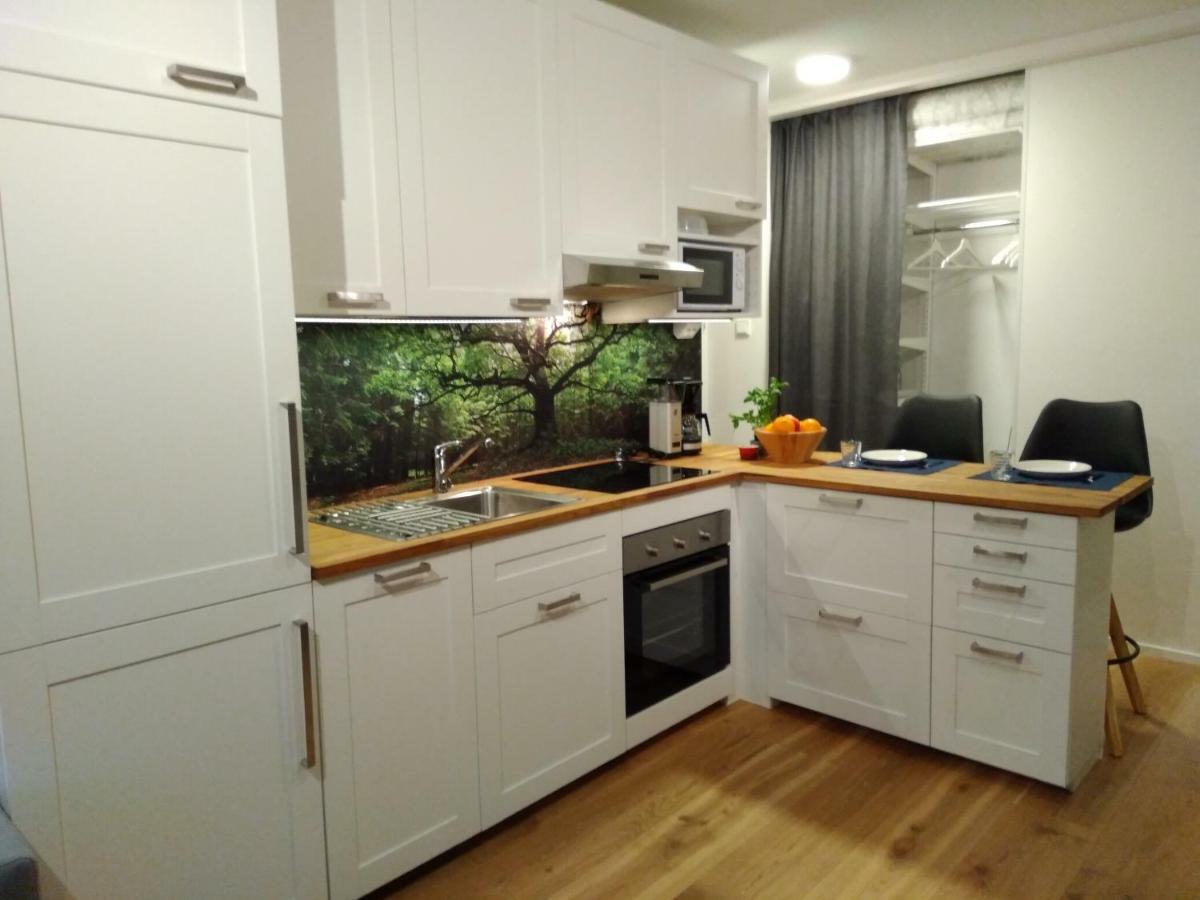 Studiohuoneisto Lohjan Keskusta 외부 사진